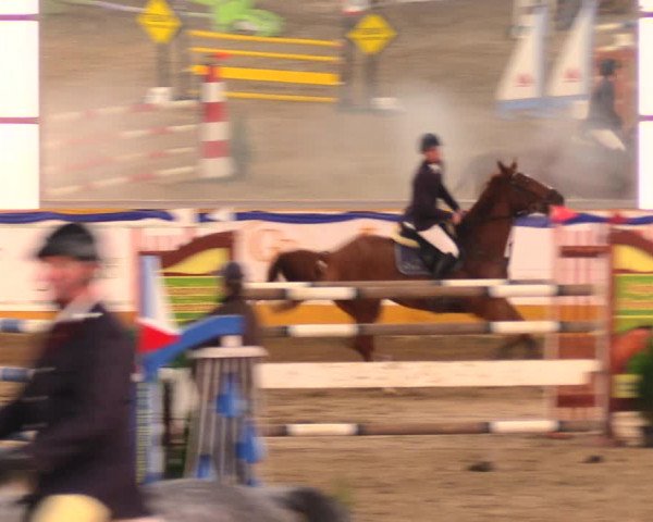 Reitturnier Pausin 2017