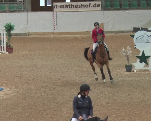 Reitturnier Kreuth 2017