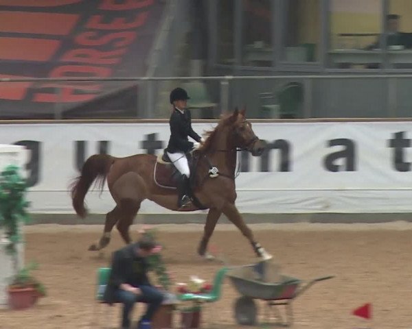 Reitturnier Kreuth 2017