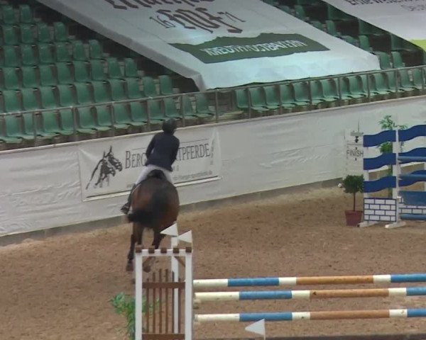 Reitturnier Kreuth 2017