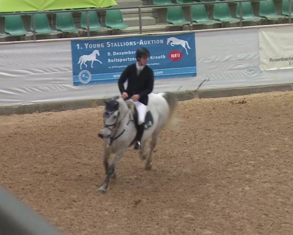 Reitturnier Kreuth 2017