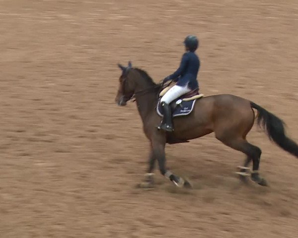 Reitturnier Kreuth 2017