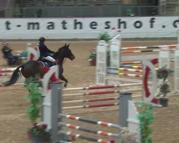 Reitturnier Kreuth 2017