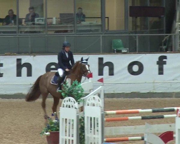 Reitturnier Kreuth 2017