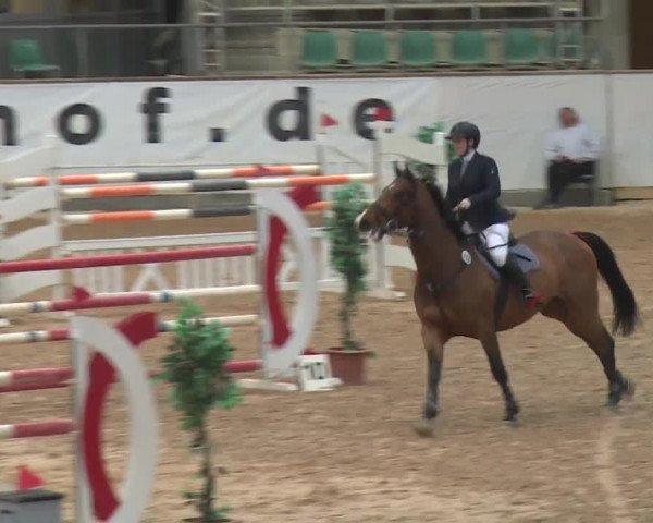 Reitturnier Kreuth 2017