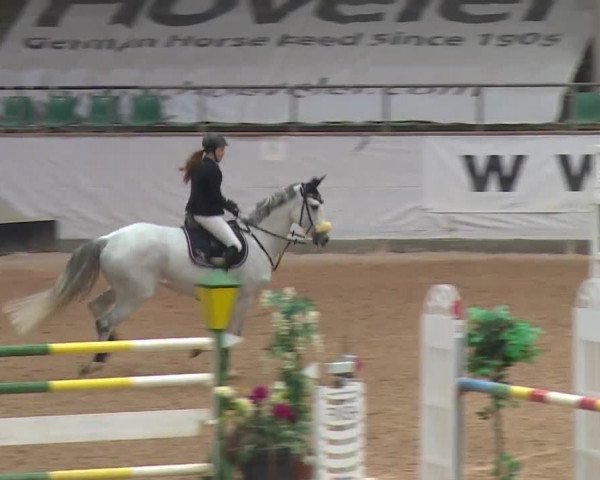 Reitturnier Kreuth 2017