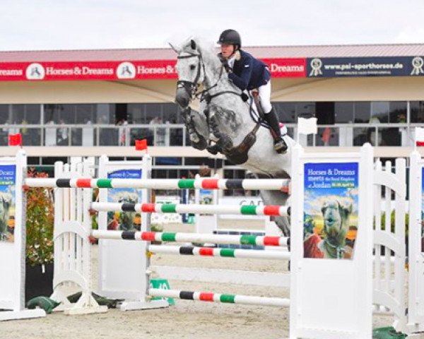 jumper Sieco (Holsteiner, 2009, from Cachas)