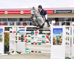 jumper Sieco (Holsteiner, 2009, from Cachas)