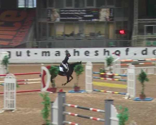 Reitturnier Kreuth 2017