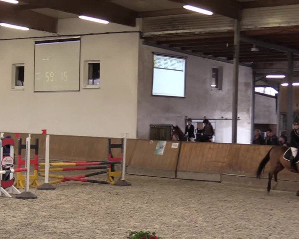 Reitturnier Freudenberg 2017
