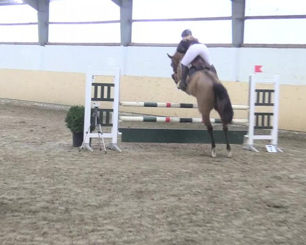 Reitturnier Datteln 2017