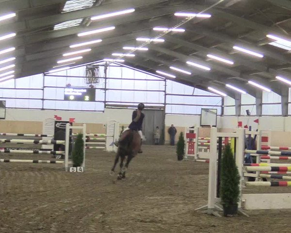 Reitturnier Datteln 2017