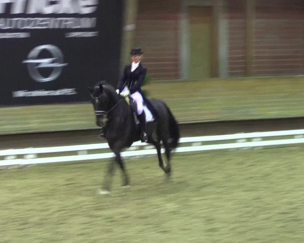 Reitturnier Paderborn 2017