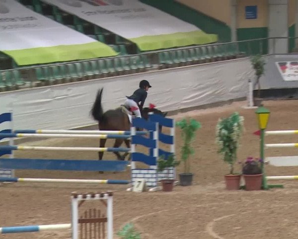Reitturnier Kreuth 2017