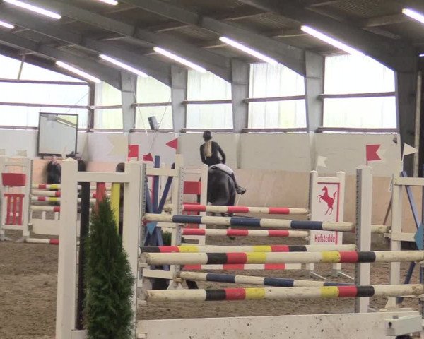 Reitturnier Datteln 2017
