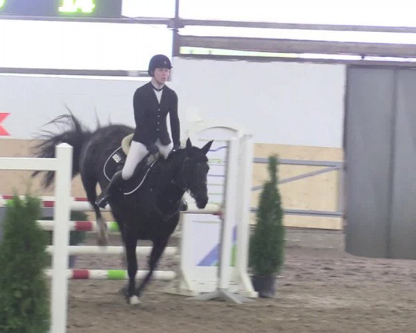 Reitturnier Datteln 2017