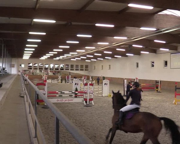 Reitturnier Freudenberg 2017