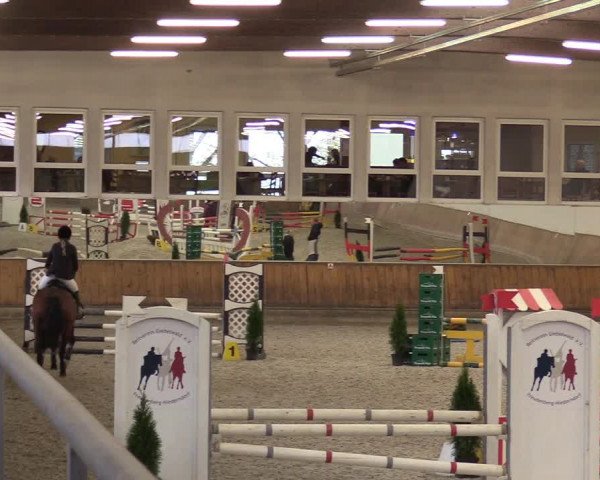 Reitturnier Freudenberg 2017