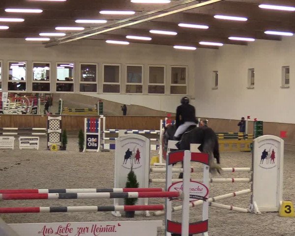 Reitturnier Freudenberg 2017