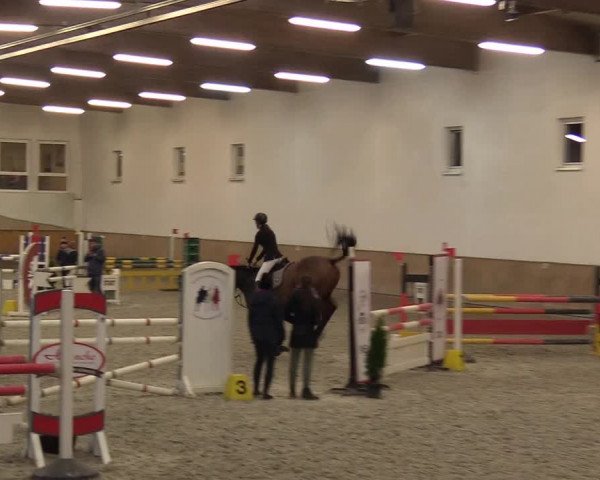 Reitturnier Freudenberg 2017