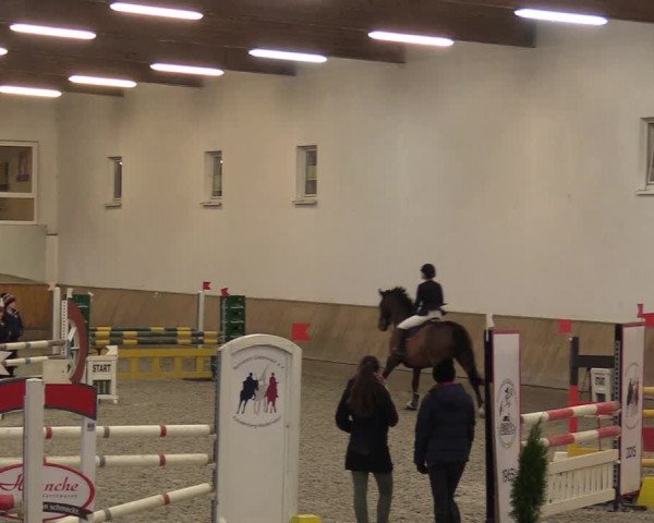 Reitturnier Freudenberg 2017