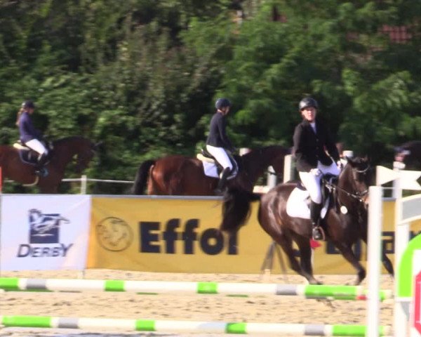 Reitturnier Ascheberg 2021