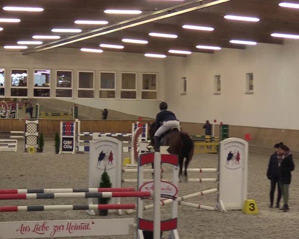 Reitturnier Freudenberg 2017