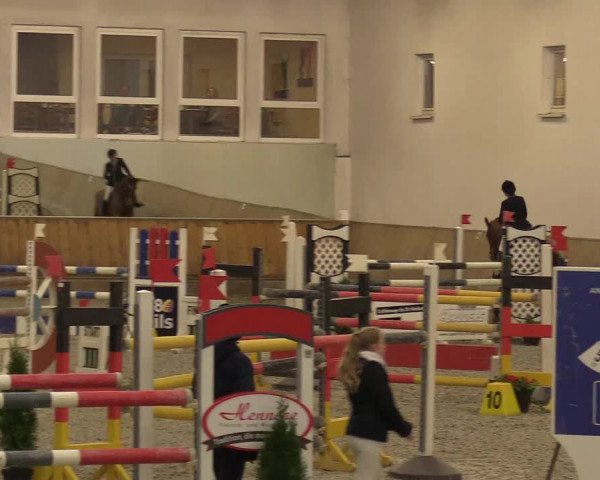 Reitturnier Freudenberg 2017