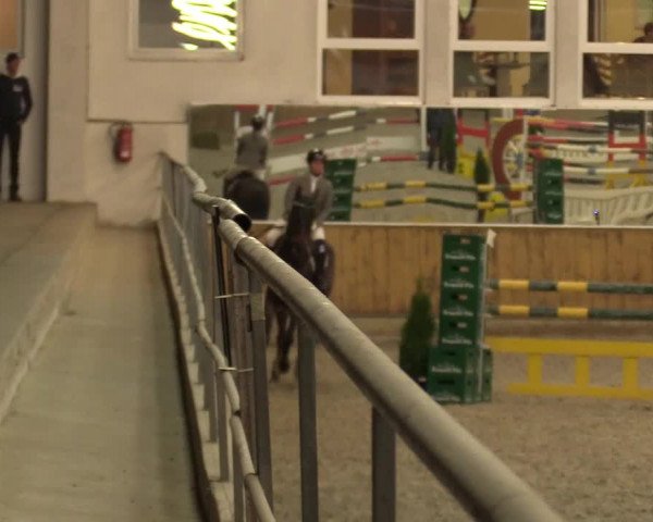 Reitturnier Freudenberg 2017
