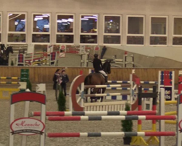 Reitturnier Freudenberg 2017