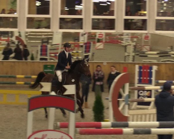 Reitturnier Freudenberg 2017