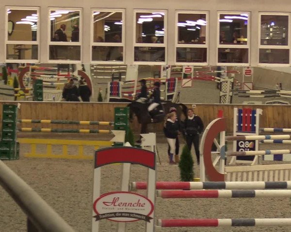 Reitturnier Freudenberg 2017