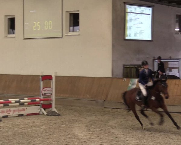 Reitturnier Freudenberg 2017