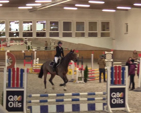 Reitturnier Freudenberg 2017
