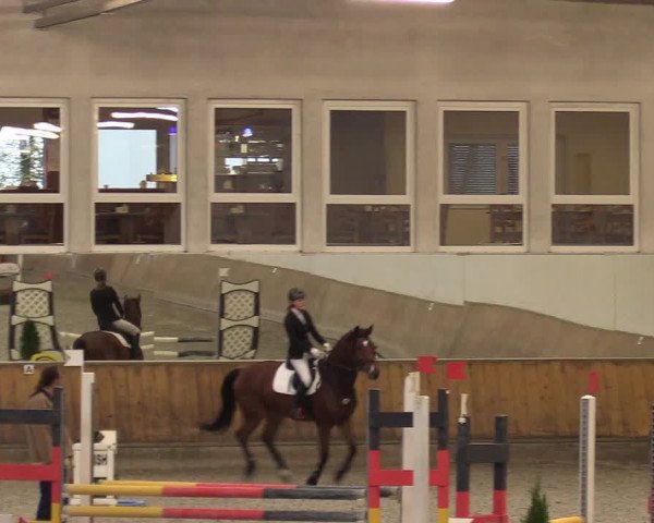 Reitturnier Freudenberg 2017