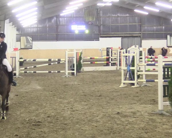 Reitturnier Datteln 2017