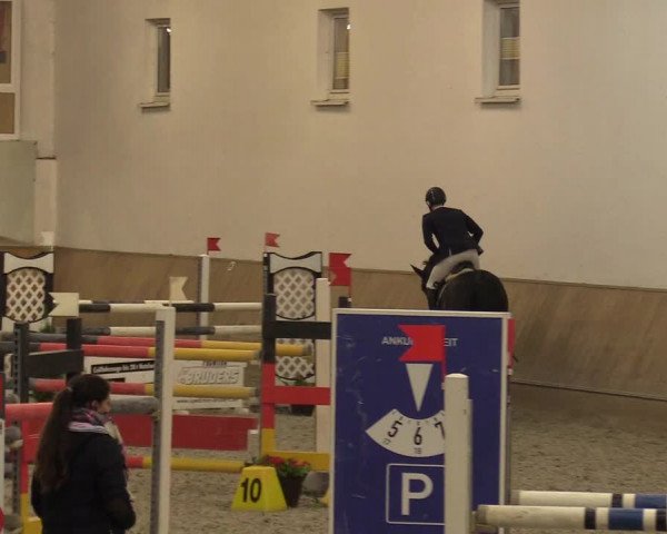Reitturnier Freudenberg 2017