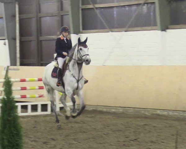 Reitturnier Datteln 2017
