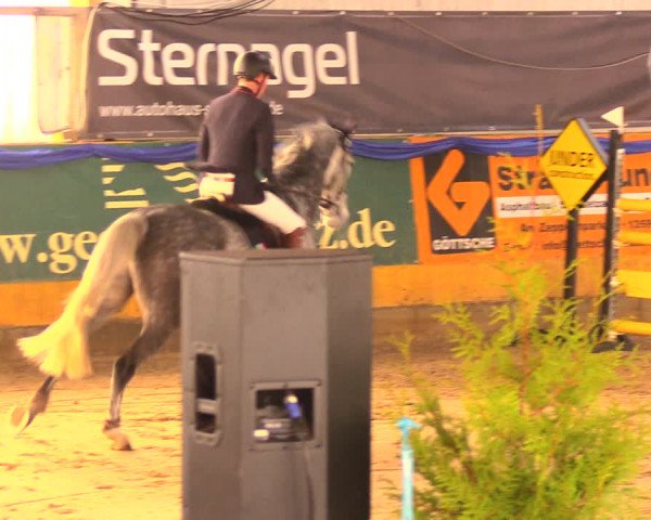 Reitturnier Pausin 2017