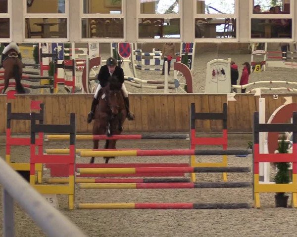 Reitturnier Freudenberg 2017