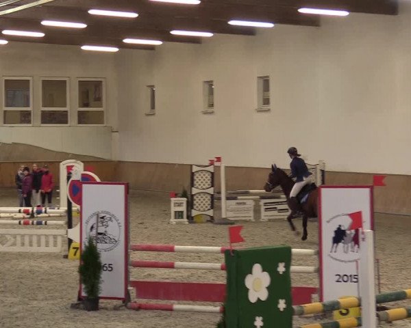 Reitturnier Freudenberg 2017