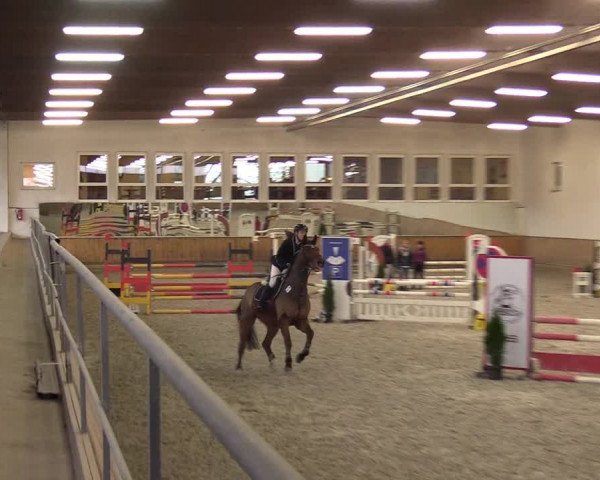 Reitturnier Freudenberg 2017
