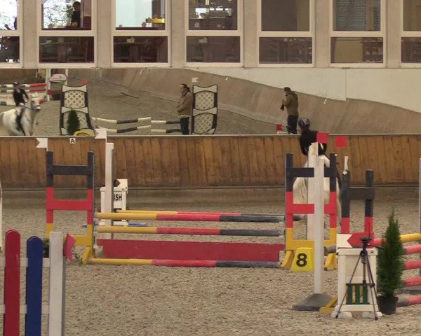 Reitturnier Freudenberg 2017