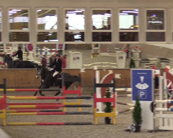 Reitturnier Freudenberg 2017