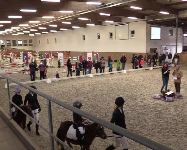 Reitturnier Freudenberg 2017
