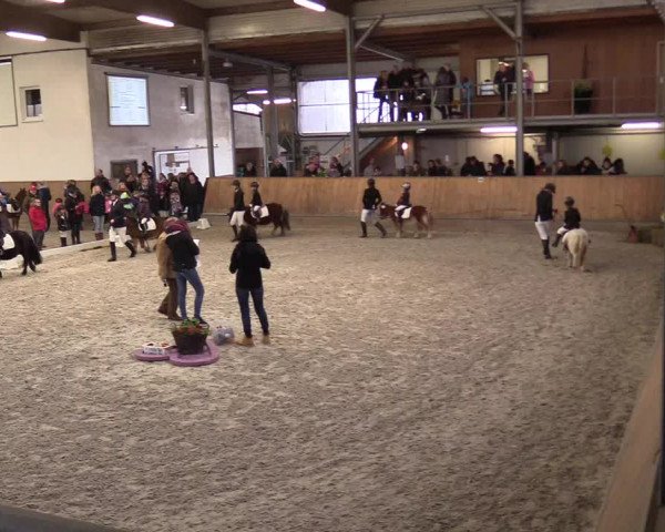 Reitturnier Freudenberg 2017