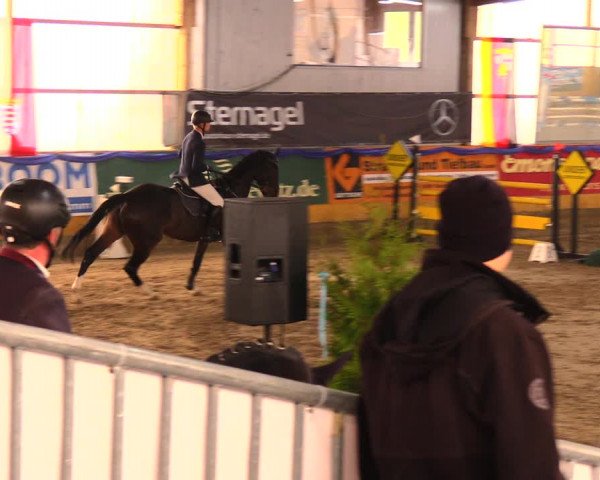 Reitturnier Pausin 2017