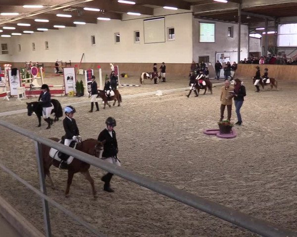 Reitturnier Freudenberg 2017