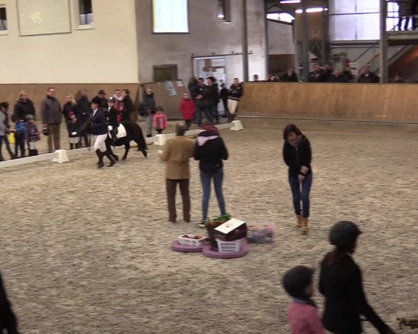 Reitturnier Freudenberg 2017