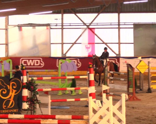 Reitturnier Pausin 2017